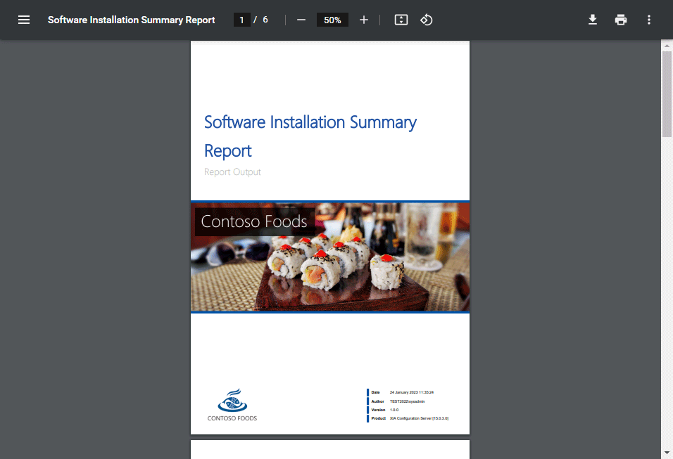Screenshot of the Software Installation Report cover