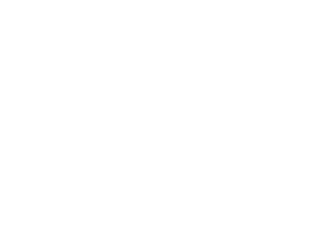 Liquid PC logo
