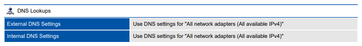 Screenshot of DNS lookup settings in a document generated by XIA Configuration