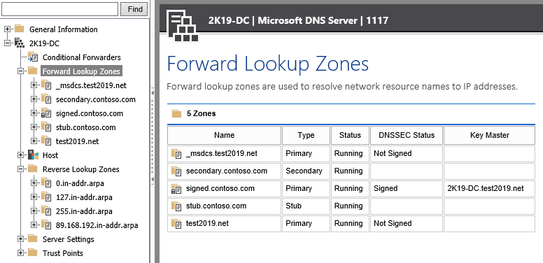 Screenshot showing forward lookup zones in the XIA Configuration web interface