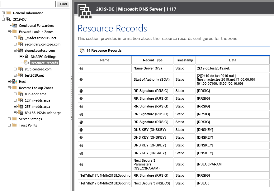 Screenshot showing resource records in the XIA Configuration web interface