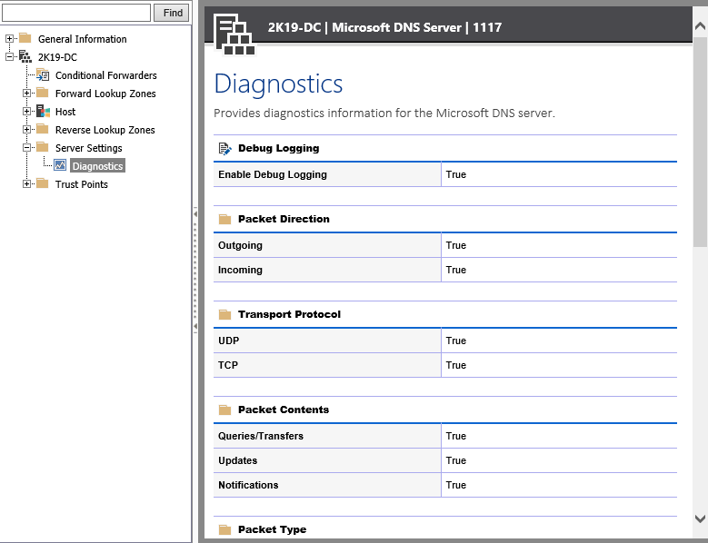 Screenshot showing Microsoft DNS server diagnostics settings in the XIA Configuration web interface