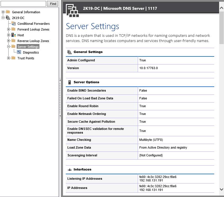 Screenshot showing Microsoft DNS server settings in the XIA Configuration web interface
