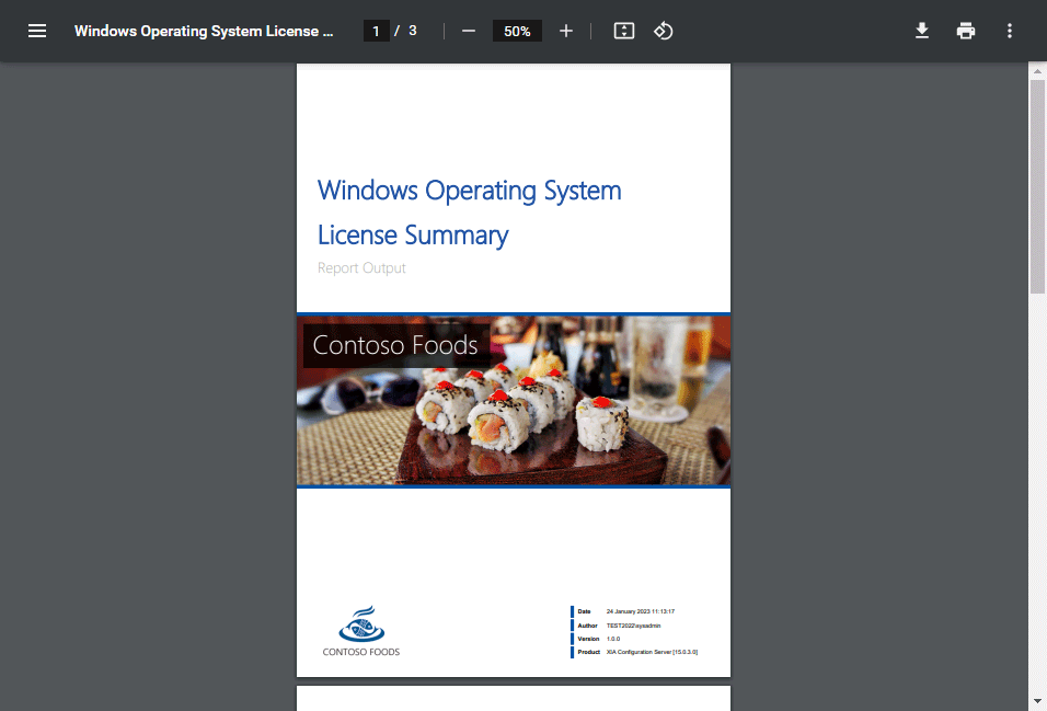 Screenshot showing the Windows operating system license report PDF