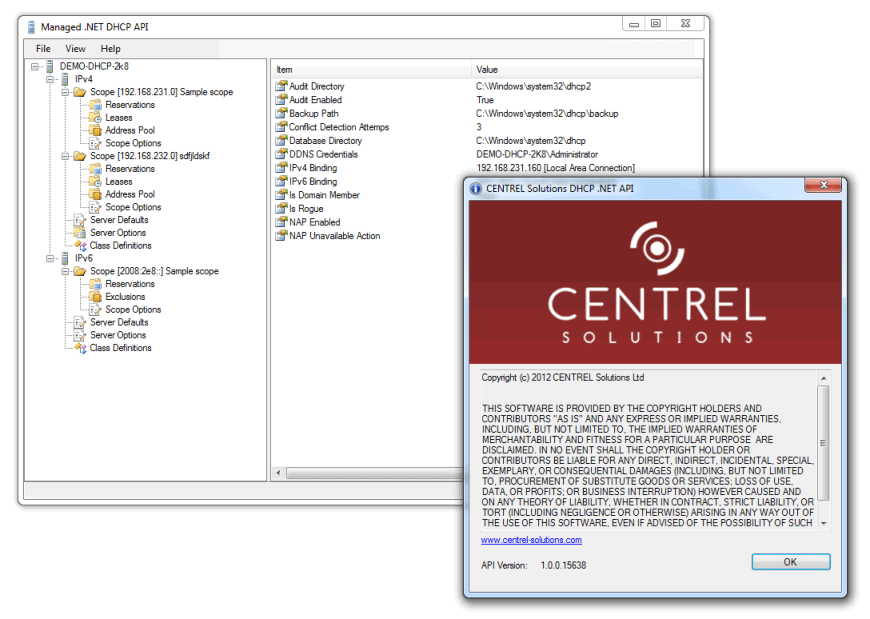 Screenshot of DHCP API