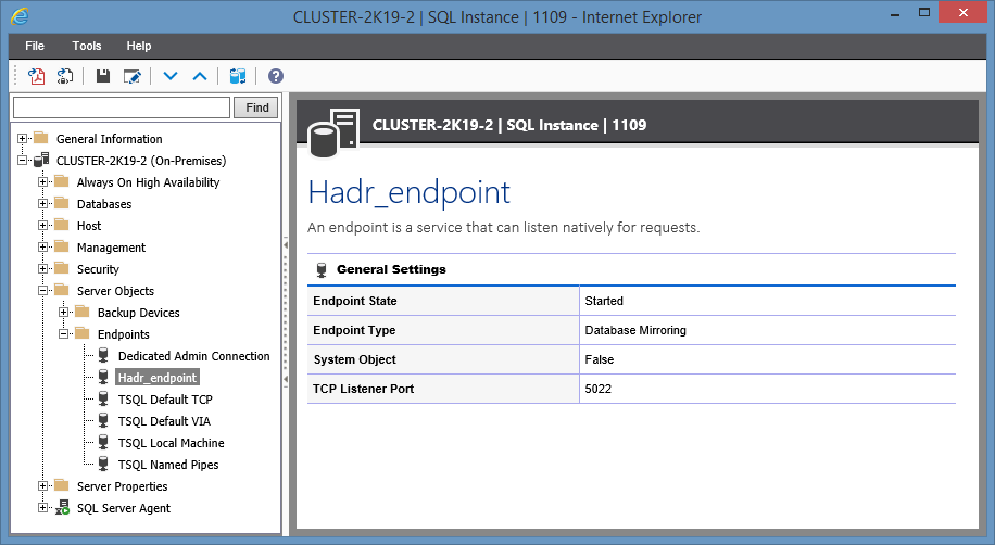 Screenshot showing Endpoint settings in the XIA Configuration web interface